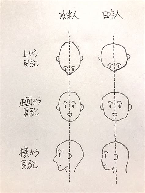 太陽頭|頭の形とおすすめ 